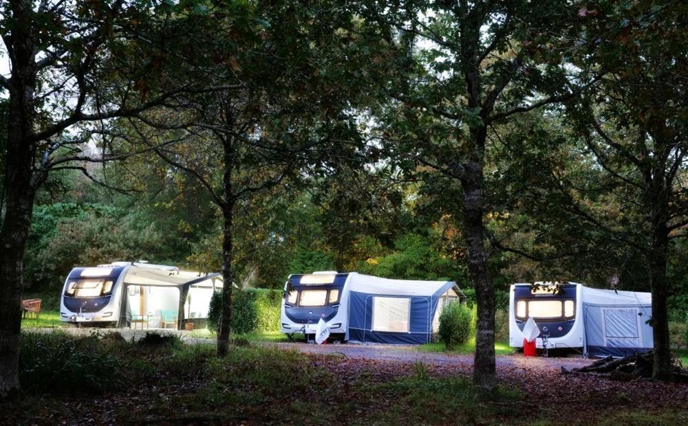Hotel Pinetum Gardens Retreats St Austell Exterior foto
